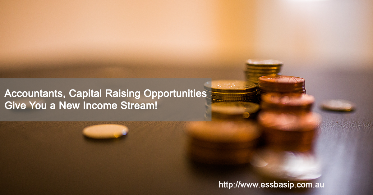 Accountants, Capital Raising Opportunities Give You a New Income Stream!