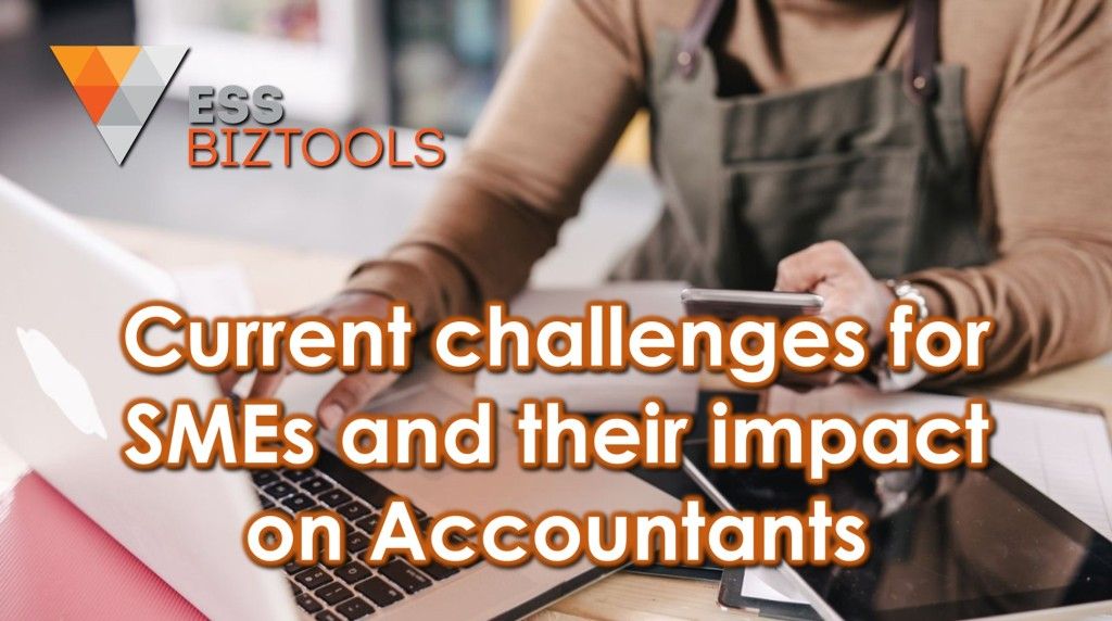 Current challenges for SMEs and their impact on Accountants