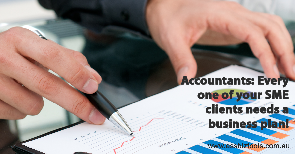 Accountants – every SME needs a business plan!