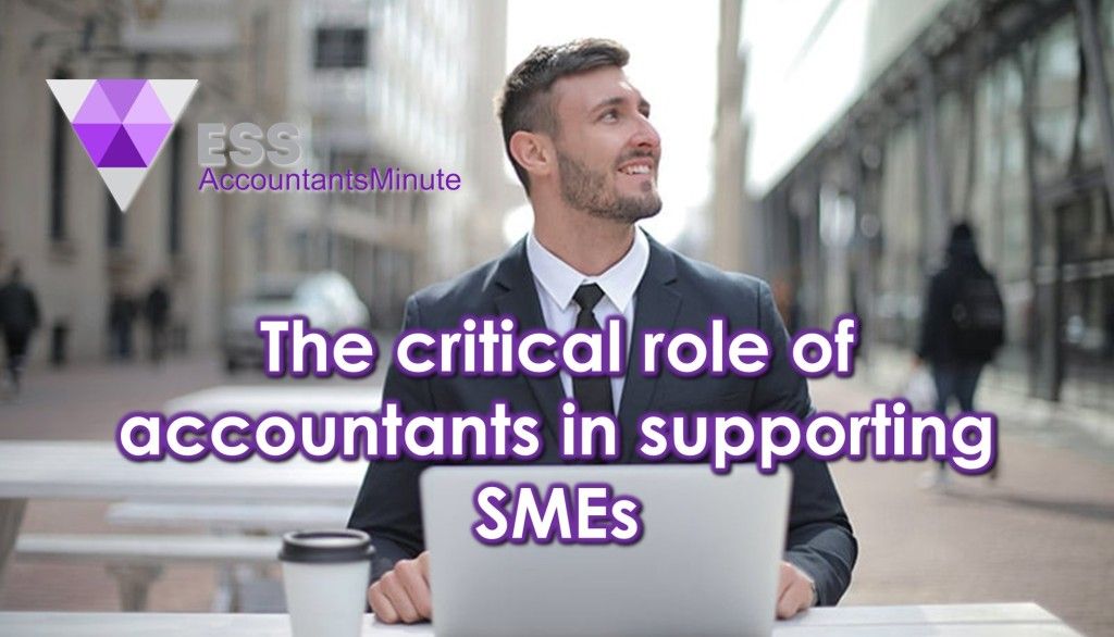 The Critical Role Of Accountants In Supporting SMEs