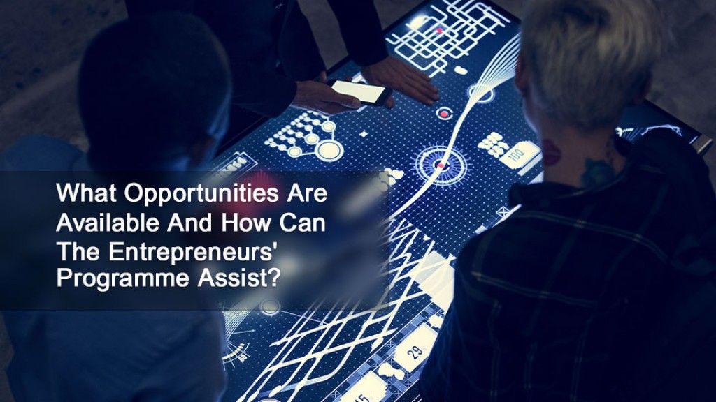 What Opportunities Are Available And How Can The Entrepreneurs'  Programme Assist?