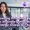 Empowering Professional Service Firms: Maximise Profitability with Strategic Charge Out Rates