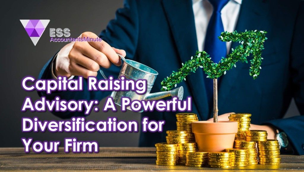 Capital Raising Advisory: A Powerful Diversification for Your Firm