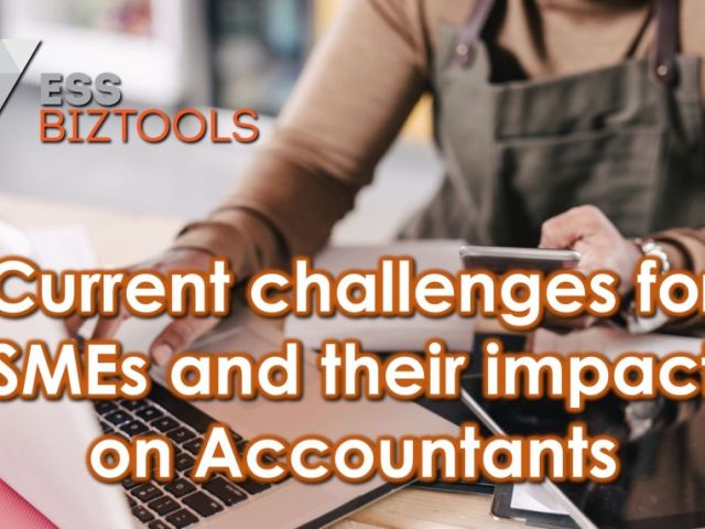 Current challenges for SMEs and their impact on Accountants
