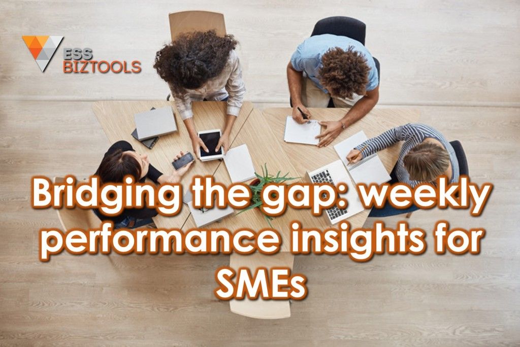 Bridging the gap: weekly performance insights for SMEs