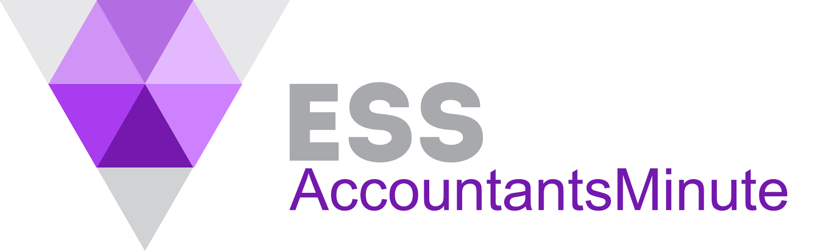 ESS AccountantsMinuteLogo