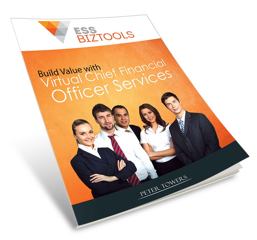 VirtualChiefFinancialOfficerServices ebook