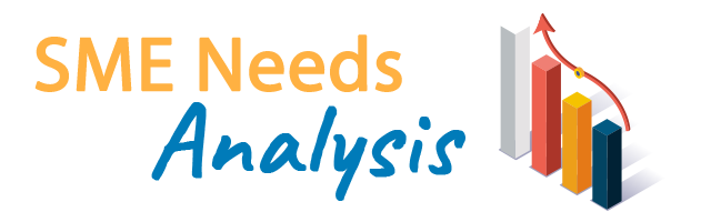 SME Needs Analysis