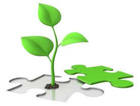Business Growth Grant