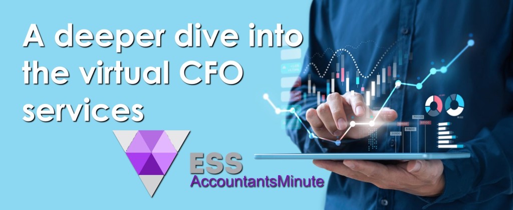 A deeper dive into the virtual CFO services