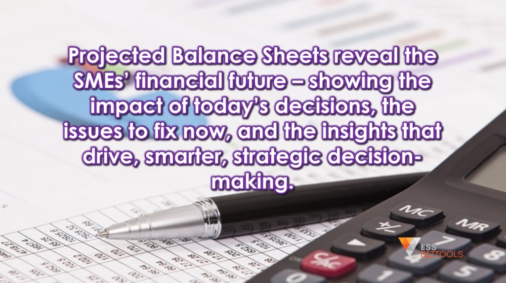 am436projbalancesheet