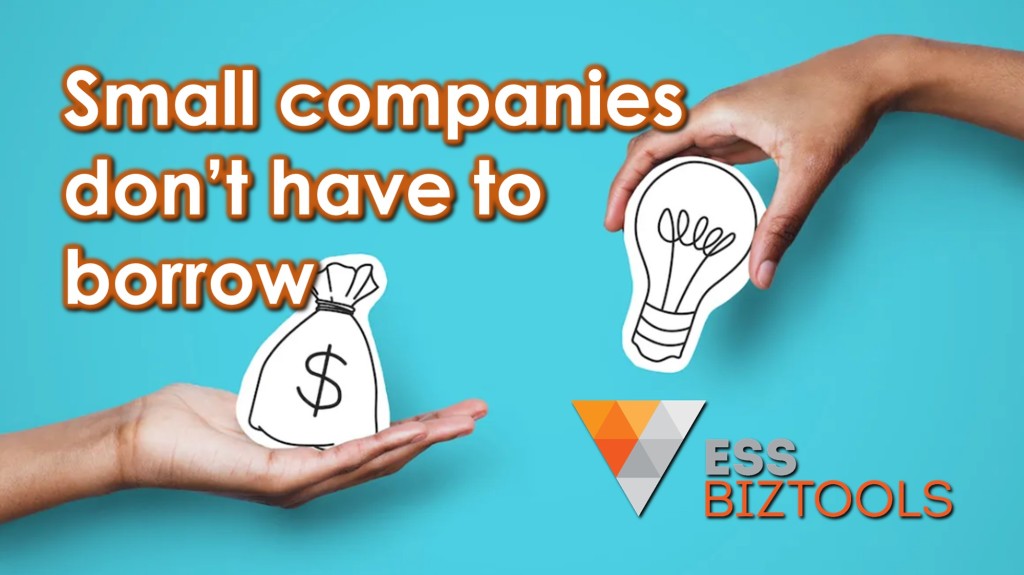Small companies don’t have to borrow