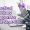 Practical Advisory Support for SME Start-Ups Practical Advisory Support for SME Start-Ups