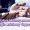 Debtors Management: A Strategic Advisory Opportunity